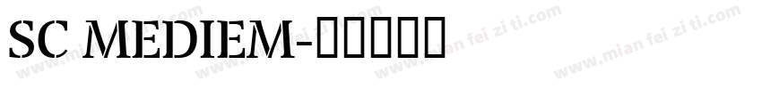 SC MEDIEM字体转换